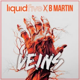 LIQUIDFIVE X B MARTIN - VEINS